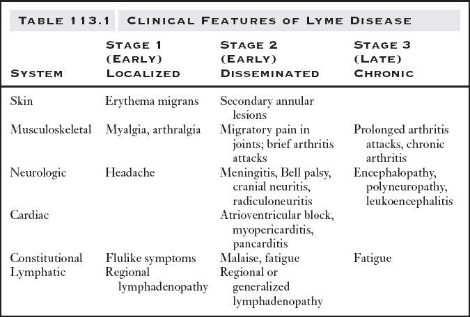 Stadia van de Lyme besmetting